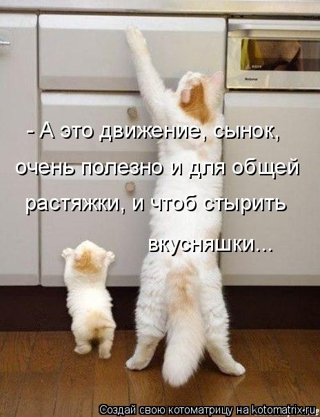- А это движение, сынок, очень полезно и для общей растяжки, и чтоб стырить вкусняшки...... Котоматрица: - А это движение, сынок, очень полезно и для общей растяжки, и чтоб стырить вкусняшки...