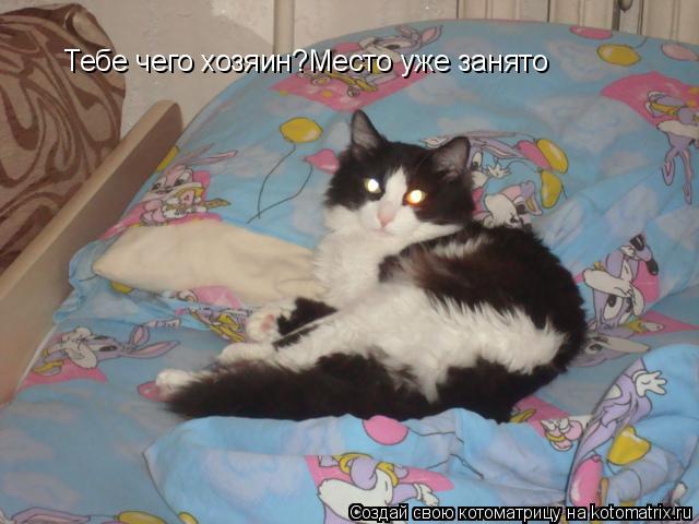 Котоматрица: Тебе чего хозяин?Место уже занято