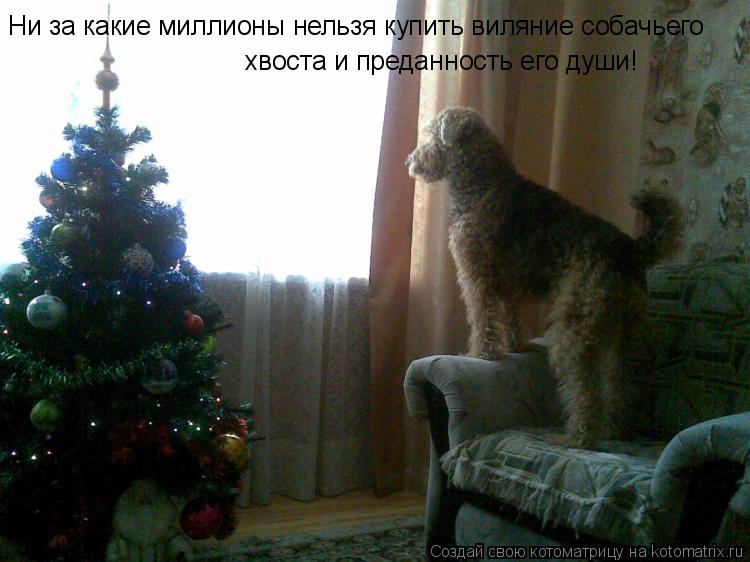 Котоматрица: Ни за какие миллионы нельзя купить виляние собачьего хвоста и преданность его души!