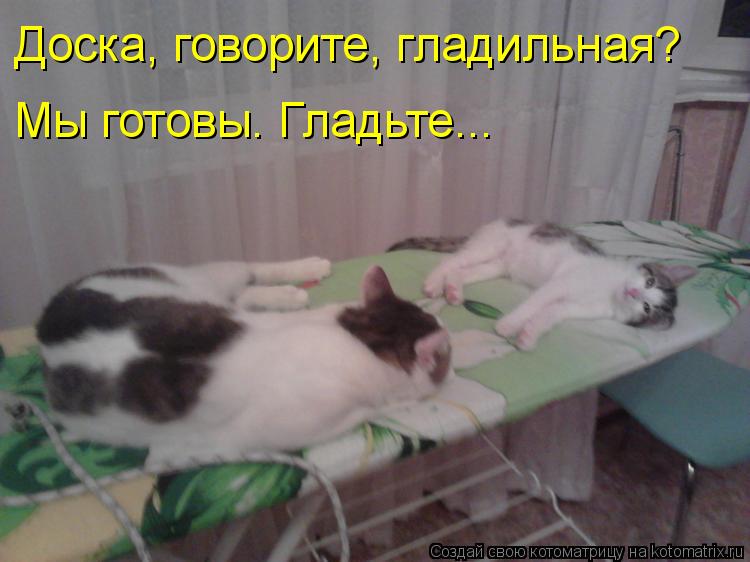 Котоматрица: Доска, говорите, гладильная? Мы готовы. Гладьте...