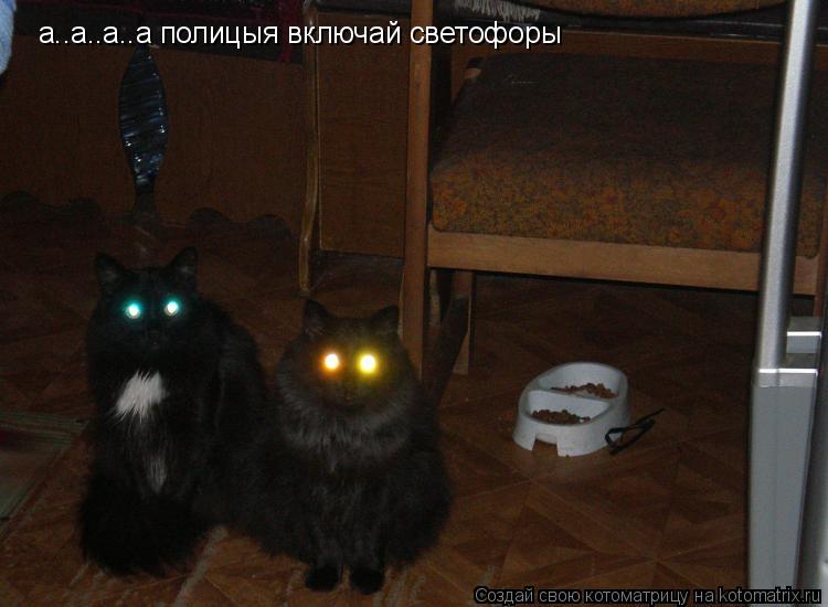 Котоматрица: а..а..а..а полицыя включай светофоры