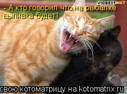 Котоматрица: - А кто говорил что на рыбалке выпивка будет !