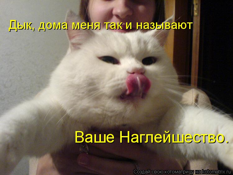 Котоматрица: Дык, дома меня так и называют Ваше Наглейшество.