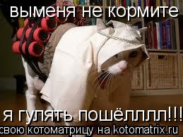 Котоматрица: выменя не кормите я гулять пошёлллл!!!!!!!