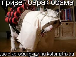 Котоматрица: привет барак обама