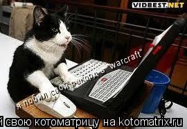 Котоматрица: я побил свой рекорд в "warcraft" я побил свой рекорд в "warcraft"