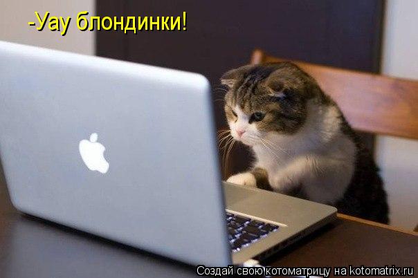 Котоматрица: -Уау блондинки!