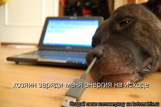 хозяин заряди меня энергия на исходе... Котоматрица: хозяин заряди меня энергия на исходе