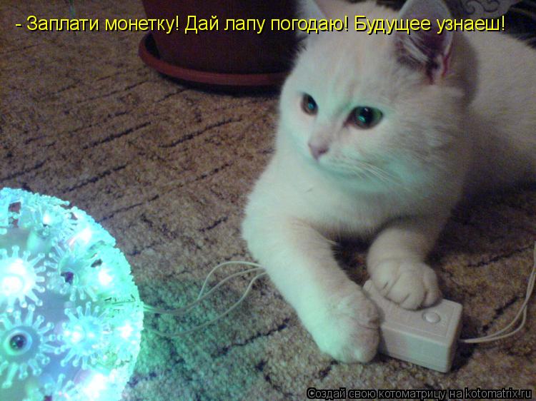 - Заплати монетку! Дай лапу погодаю! Будущее узнаеш!... Котоматрица: - Заплати монетку! Дай лапу погодаю! Будущее узнаеш!