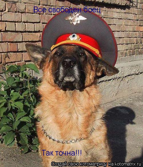 Все свободен боец Так точна!!!... Котоматрица: Все свободен боец Так точна!!!
