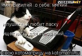 имя: Василий о себе: мягкий и пушистый любит ласку ищет киску для отношений... Котоматрица: имя: Василий о себе: мягкий и пушистый любит ласку ищет киску для отношений