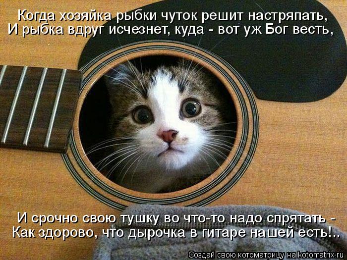 Когда хозяйка рыбки чуток решит настряпать, И рыбка вдруг исчезнет, куда - вот уж Бог весть, И срочно... Котоматрица: Когда хозяйка рыбки чуток решит настряпать, И рыбка вдруг исчезнет, куда - вот уж Бог весть, И срочно свою тушку во что-то надо спрятать - Как
