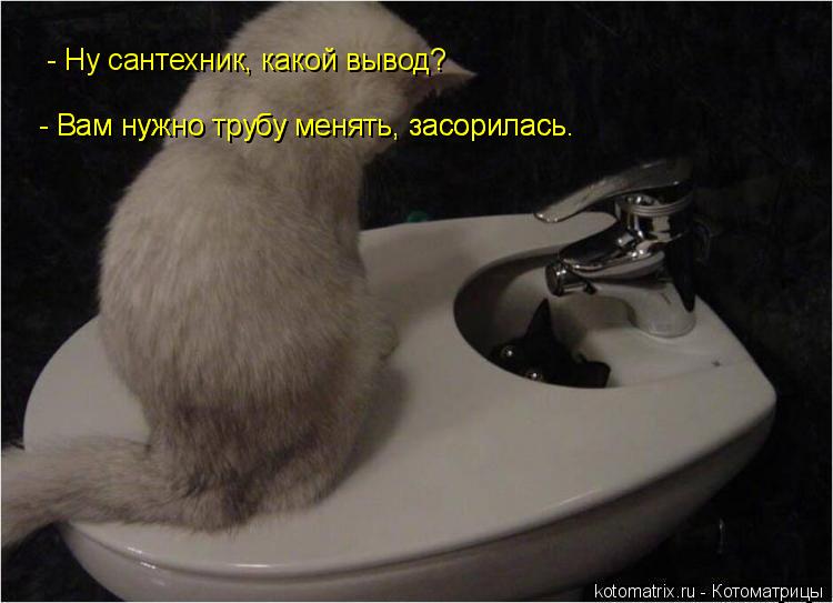 Котоматрица: - Вам нужно трубу менять, засорилась. - Вам нужно трубу менять, засорилась.  - Ну сантехник, какой вывод?