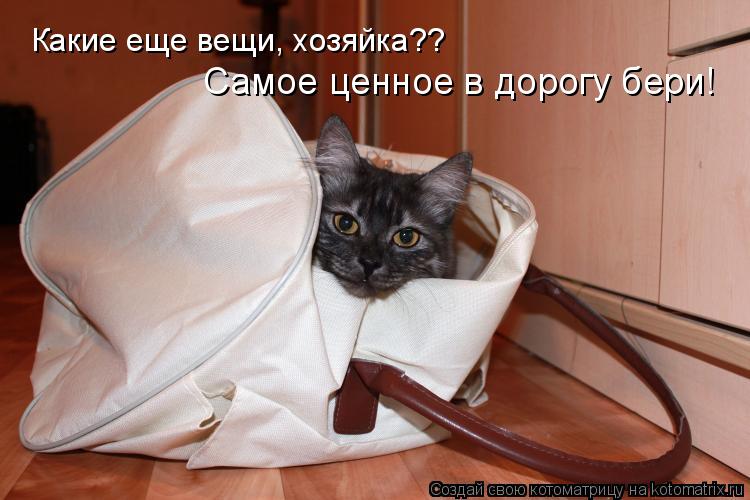 Какие еще вещи, хозяйка?? Самое ценное в дорогу бери!... Котоматрица: Какие еще вещи, хозяйка?? Самое ценное в дорогу бери!