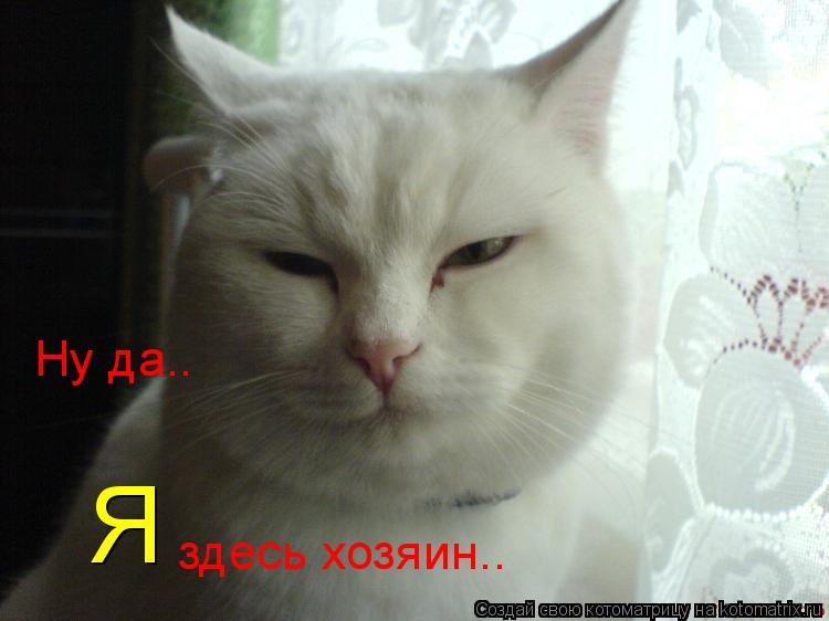 Ну да.. Я здесь хозяин..... Котоматрица: Ну да.. Я здесь хозяин..