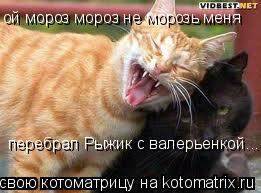 ой мороз мороз не морозь меня перебрал Рыжик с валерьенкой...... Котоматрица: ой мороз мороз не морозь меня перебрал Рыжик с валерьенкой...
