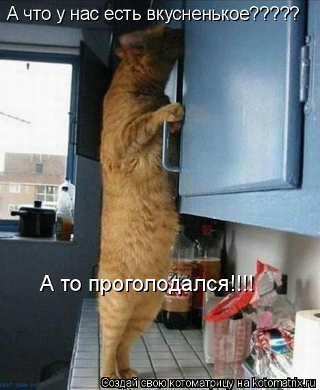 А что у нас есть вкусненькое????? А то проголодался!!!!... Котоматрица: А что у нас есть вкусненькое????? А то проголодался!!!!