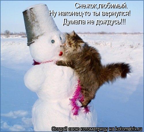 Снежок,любимый. Снежок,любимый. Ну наконец-то ты вернулся! Думала не дождусь!!!... Котоматрица: Снежок,любимый. Снежок,любимый. Ну наконец-то ты вернулся! Думала не дождусь!!!