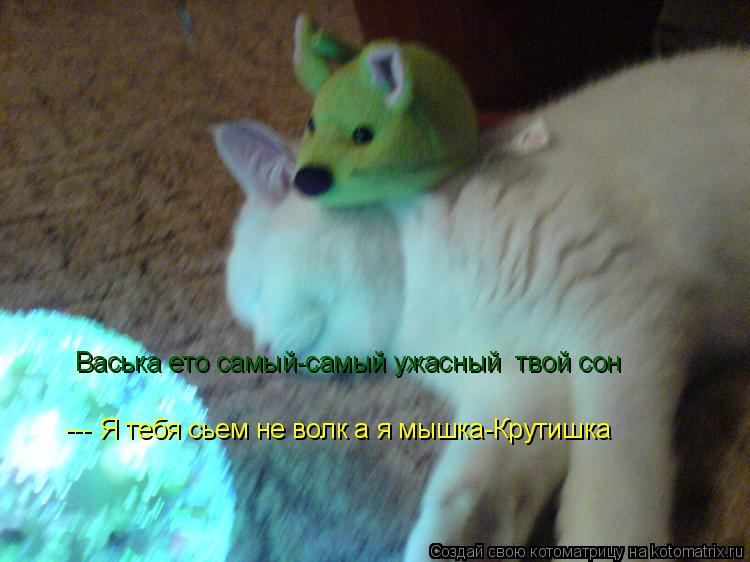 Котоматрица: Васька ето самый-самый ужасный  твой сон --- Я тебя сьем не волк а я мышка-Крутишка