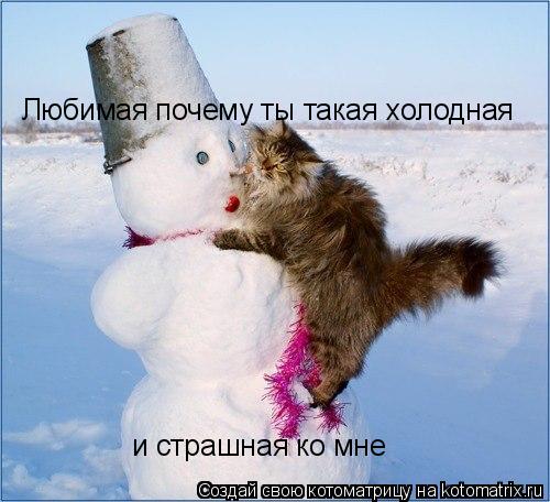 Любимая почему ты такая холодная и страшная ко мне... Котоматрица: Любимая почему ты такая холодная и страшная ко мне