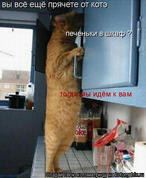 вы всё ещё прячете от котэ тогда мы идём к вам печеньки в шкаф ?... Котоматрица: вы всё ещё прячете от котэ тогда мы идём к вам печеньки в шкаф ?
