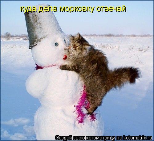 куда дела морковку отвечай... Котоматрица: куда дела морковку отвечай