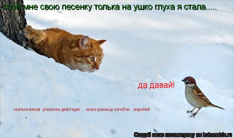 спой мне свою песенку толька на ушко глуха я стала..... да давай! сколько веков уловочка действует..... Котоматрица: спой мне свою песенку толька на ушко глуха я стала..... да давай! сколько веков уловочка действует.... какая разница колобок... воробей