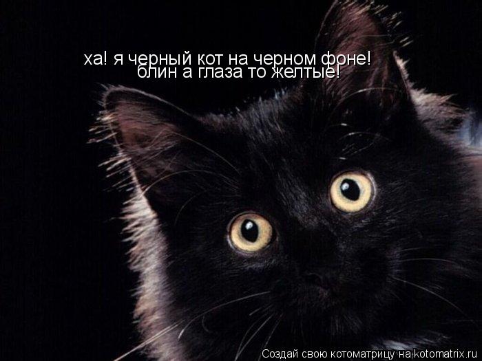 ха! я черный кот на черном фоне! блин а глаза то желтые!... Котоматрица: ха! я черный кот на черном фоне! блин а глаза то желтые!