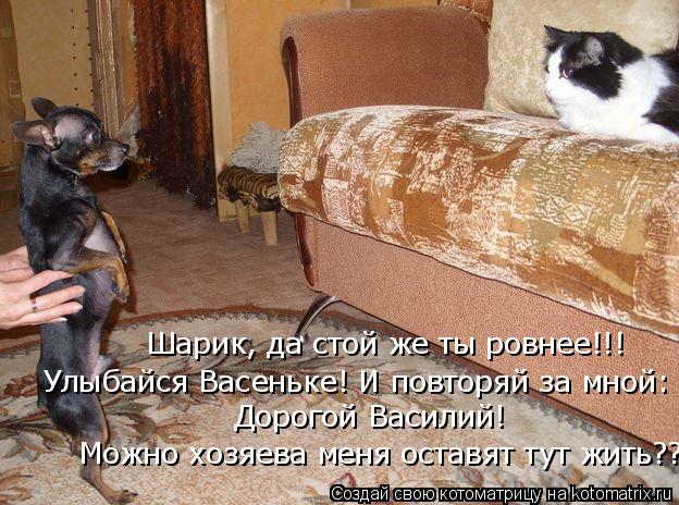Шарик, да стой же ты ровнее!!! Дорогой Василий! Можно хозяева меня оставят тут жить??? Улыбайся Васе... Котоматрица: Шарик, да стой же ты ровнее!!! Дорогой Василий! Можно хозяева меня оставят тут жить??? Улыбайся Васеньке! И повторяй за мной: