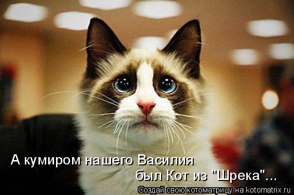 А кумиром нашего Василия был Кот из "Шрека"...... Котоматрица: А кумиром нашего Василия был Кот из "Шрека"...