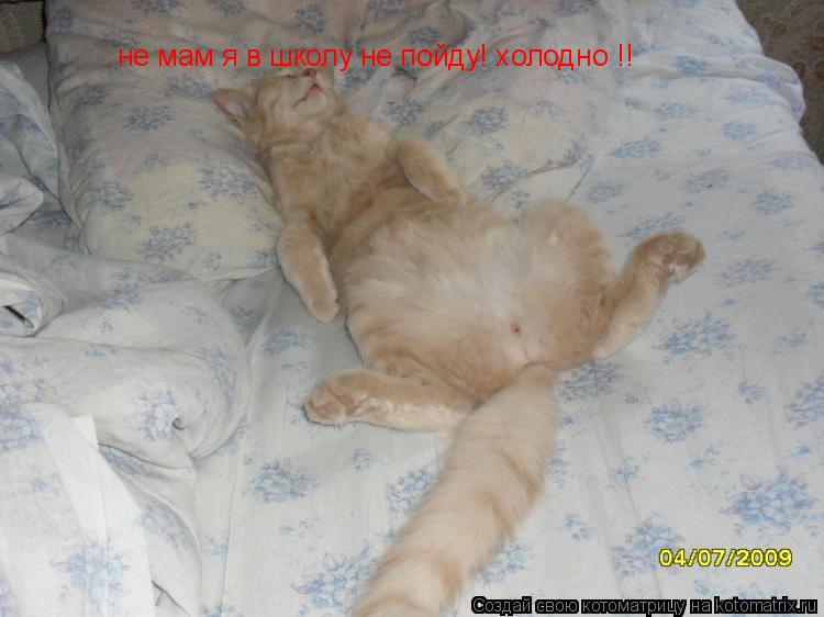 не мам я в школу не пойду! холодно !!... Котоматрица: не мам я в школу не пойду! холодно !!