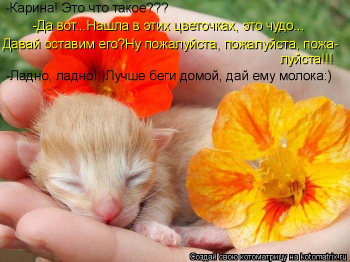 -Карина! Это что такое??? -Да вот...Нашла в этих цветочках, это чудо... Давай оставим его?Ну пожалуйс... Котоматрица: -Карина! Это что такое??? -Да вот...Нашла в этих цветочках, это чудо... Давай оставим его?Ну пожалуйста, пожалуйста, пожа- луйста!!! -Ладно, ладно!:)