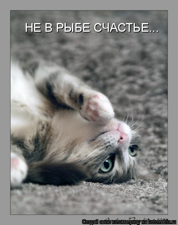 Котоматрица: НЕ В РЫБЕ СЧАСТЬЕ...