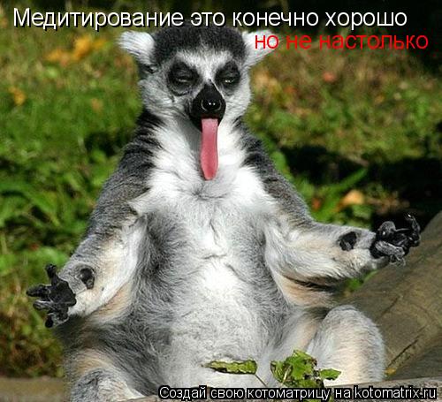 Медитирование это конечно хорошо но не настолько... Котоматрица: Медитирование это конечно хорошо но не настолько