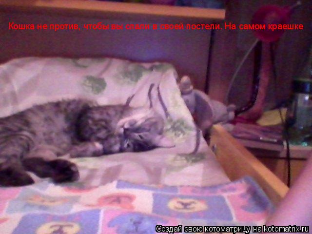 Котоматрица: Кошка не против, чтобы вы спали в своей постели. На самом краешке