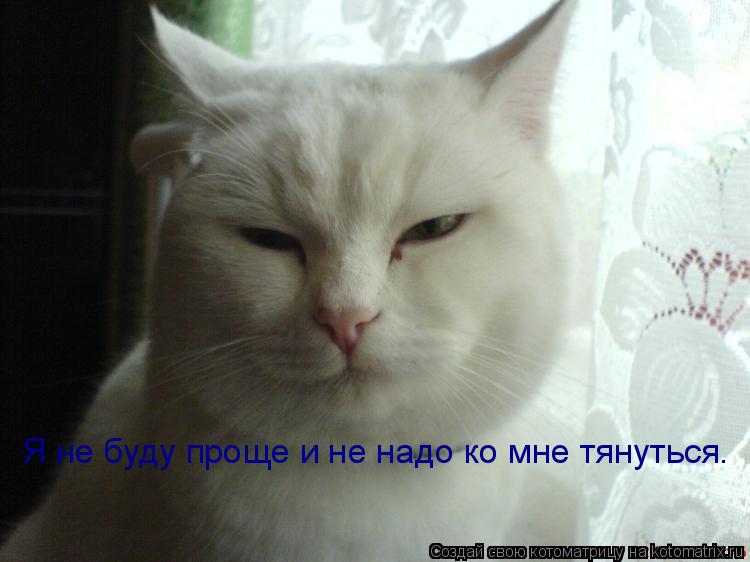 Котоматрица: Я не буду проще и не надо ко мне тянуться.