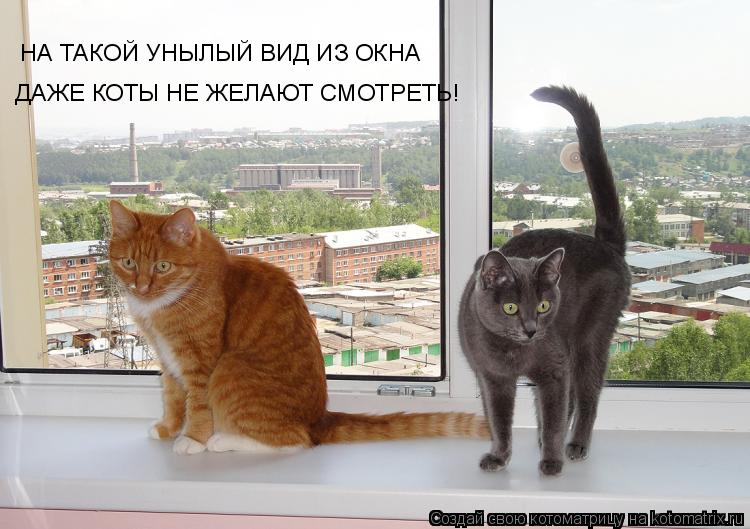 Котоматрица: НА ТАКОЙ УНЫЛЫЙ ВИД ИЗ ОКНА ДАЖЕ КОТЫ НЕ ЖЕЛАЮТ СМОТРЕТЬ!