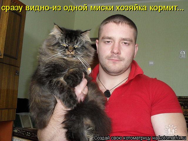 Котоматрица: сразу видно-из одной миски хозяйка кормит...