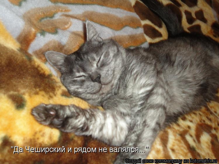 Котоматрица: "Да Чеширский и рядом не валялся..."