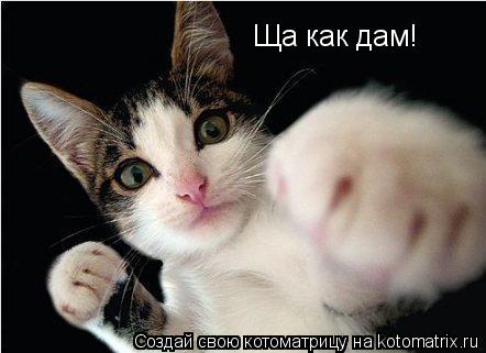 Ща как дам!... Котоматрица: Ща как дам!
