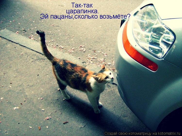 Так-так царапинка. Эй пацаны,сколько возьмёте?... Котоматрица: Так-так царапинка. Эй пацаны,сколько возьмёте?