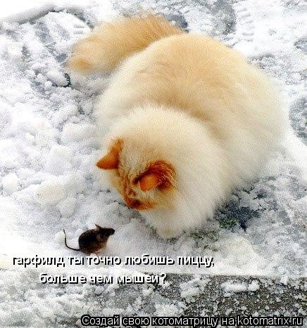 больше чем мышей? гарфилд ты точно любишь пиццу,... Котоматрица: больше чем мышей? гарфилд ты точно любишь пиццу,
