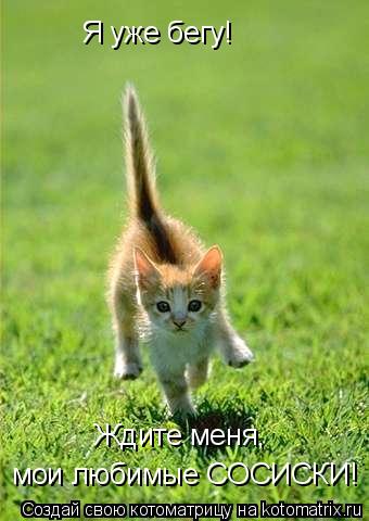 Я уже бегу! Ждите меня, мои любимые СОСИСКИ!... Котоматрица: Я уже бегу! Ждите меня, мои любимые СОСИСКИ!