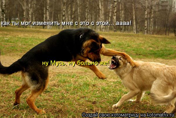как ты мог изменить мне с это с этой... аааа! ну Мусь, ну больно же!... Котоматрица: как ты мог изменить мне с это с этой... аааа! ну Мусь, ну больно же!