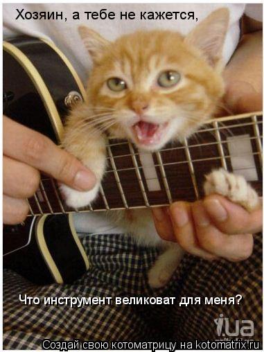 Хозяин, а тебе не кажется, Что инструмент великоват для меня?... Котоматрица: Хозяин, а тебе не кажется, Что инструмент великоват для меня?