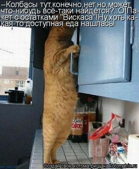 --Колбасы тут,конечно,нет,но,может, что-нибудь всё-таки найдётся?..О!Па- кет с остатками "Вискаса"!Ну... Котоматрица: --Колбасы тут,конечно,нет,но,может, что-нибудь всё-таки найдётся?..О!Па- кет с остатками "Вискаса"!Ну,хоть ка- кая-то доступная еда нашлась!