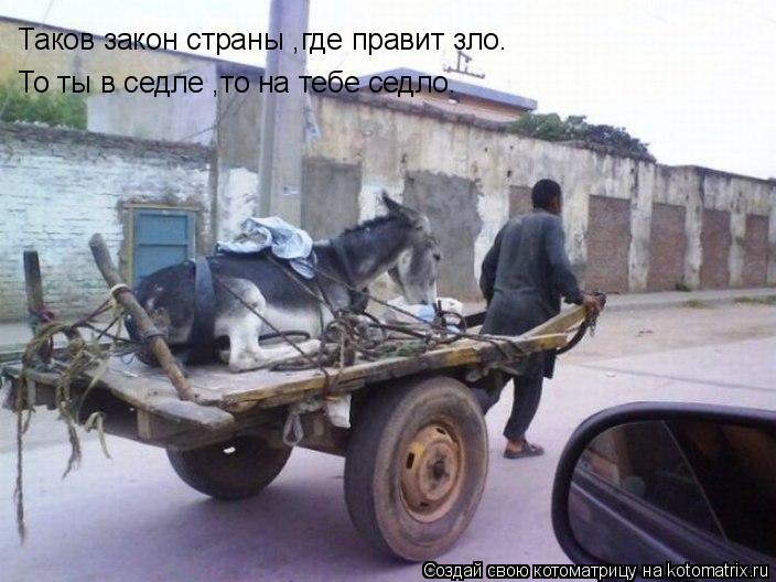 Таков закон страны ,где правит зло. То ты в седле ,то на тебе седло.... Котоматрица: Таков закон страны ,где правит зло. То ты в седле ,то на тебе седло.