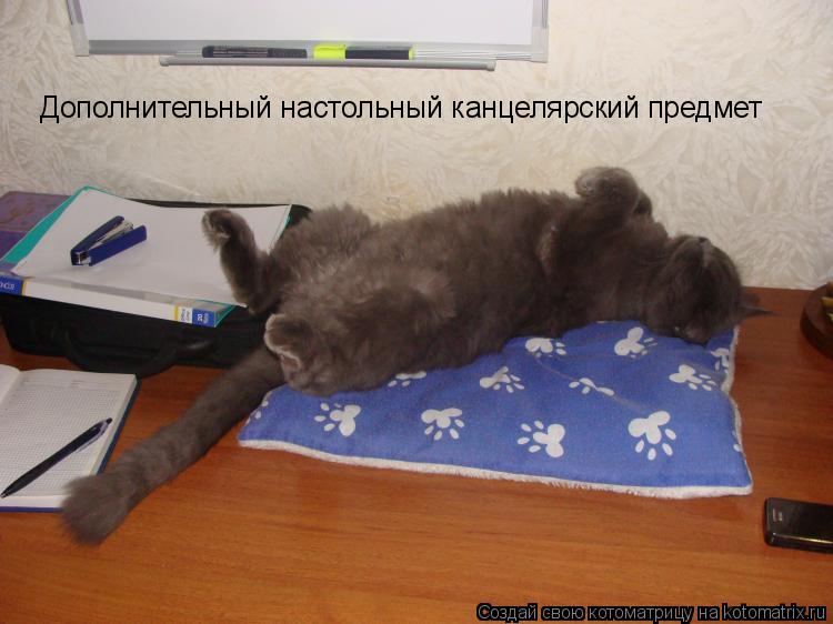 Дополнительный настольный канцелярский предмет... Котоматрица: Дополнительный настольный канцелярский предмет