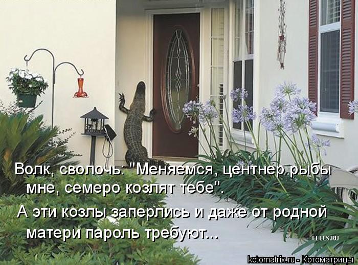 Волк, сволочь: "Меняемся, центнер рыбы мне, семеро козлят тебе". А эти козлы заперлись и даже от ро... Котоматрица: Волк, сволочь: "Меняемся, центнер рыбы мне, семеро козлят тебе". А эти козлы заперлись и даже от родной матери пароль требуют...