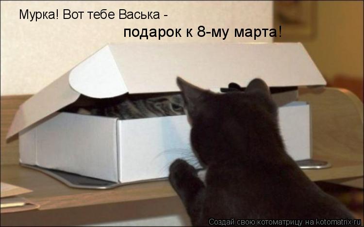 Мурка! Вот тебе Васька - подарок к 8-му марта!... Котоматрица: Мурка! Вот тебе Васька - подарок к 8-му марта!